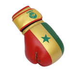 Gants de boxe Skwale Pretender "Sénégal" Flag