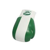 Gants de boxe Skwale Pretender "Nigéria" Flag