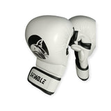 Mitaines d'entraînement pour MMA Skwale Shogun 3.0