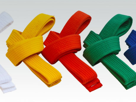 CEINTURE ARTS MARTIAUX PIQUÉE 3.00 m